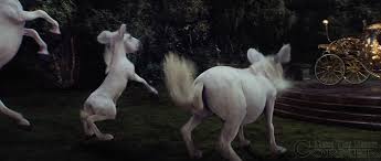 Image result for cinderella movie 2015