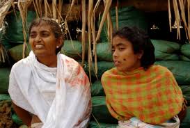 Image result for sri lanka war crime evidence