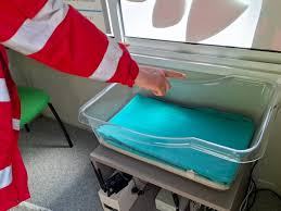 Trend Google: neonato
