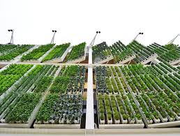 49: How Vertical Farming &amp; Live Sales Can Transform the World of ... via Relatably.com