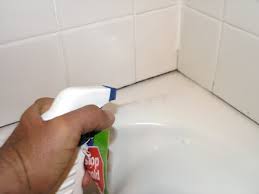 tub cleaner ile ilgili görsel sonucu