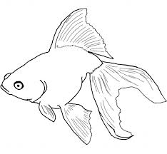 fish coloring pages ile ilgili görsel sonucu