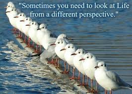 Funny animal pictures with quotes... For more funny pictures and ... via Relatably.com