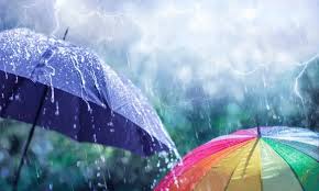 News source: 康健雜誌