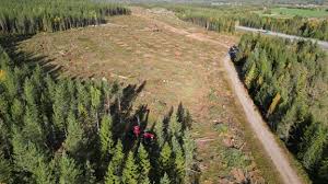 Trafikverket polisanmäler entreprenör: "Så pass grovt"