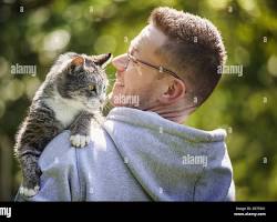 person petting a cat on a sunny dayの画像