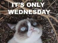 Image result for welcome to the internet meme