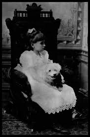 Image result for helen keller