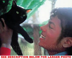 Michael Jackson Holding A Cat - cats Photo. Michael Jackson Holding A Cat. Fan of it? 0 Fans. Submitted by cherl12345 5 months ago - Michael-Jackson-Holding-A-Cat-cats-35819382-800-660