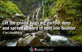 Carl Sandburg Quotes - BrainyQuote via Relatably.com