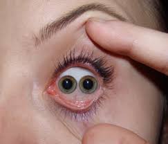 images?q=tbn:ANd9GcSWWyABOaCR7yTQKRG1LNV_fqhT5dMaI8zsHnYmU--7oYTffFalJw