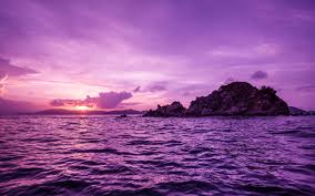 Image result for purple island