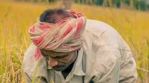 PM किसान: 20वीं किस्त जल्द! करोड़ों किसानों के लिए खुशखबरी! - Imagen principal del artículo