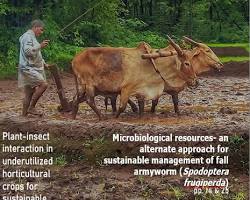 Image of Journal of Agricultural Ecology