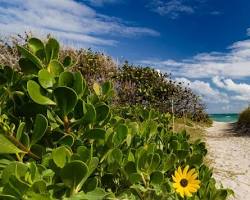 Dr. Von D. MizellEula Johnson State Park Fort Lauderdale