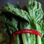  Four More People Die From Tainted Romaine Lettuce