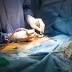 Fears cardio services at Royal Hobart Hospital under threat from ...