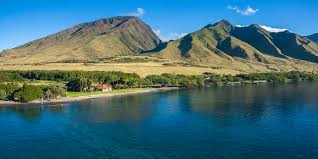 Maui Now - News update