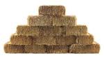 Baled Wheat Straw The Home Depot