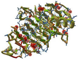 Image result for foldit