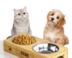 custom pet food bowls and storage containersの画像