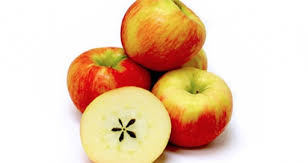 Image result for images of honey crisp apples