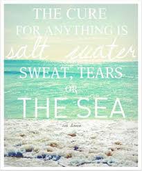 The Blog | Loving Coastal Living by SeaShellsbySeaShore ... via Relatably.com