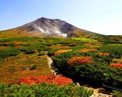 旭岳の紅葉の画像