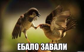 images?q=tbn:ANd9GcSXP0mAxEuQQXG2oTDLjmWOoeAsNhBblPvjhCBOQ51e36Cf4sSPgg