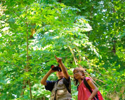Image of Nature exploration and outdoor learning at Children’s Research University