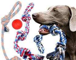 rope toy for dogsの画像