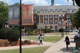 Tallahassee Democrat - News update