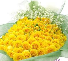 Kết quả hình ảnh cho hình ảnh hoa hồng vàng