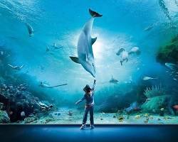 Imagem de Aquarium of Genoa