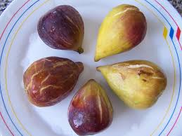 Resultado de imagem para figos de Sao Joao