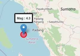 Padek Jawapos - News update