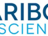 Caribou Biosciences CAR-T Therapy Programs Show Promising Updates