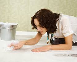 Image result for spot clean process carpet