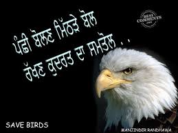 Save Birds - DesiComments.com via Relatably.com