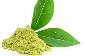 Image result for green tea