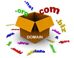 Hasil gambar untuk apa perbedaan domain dan hostingan