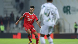 Tomás Araújo vai ter novo rival: Benfica aponta a central até segundo jogo com o St. Gallen