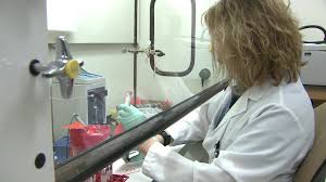 Image result for forensic toxicology
