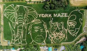 How David Attenborough's 100th Birthday Inspired a Giant Corn Maze Tribute in the UK: A Viral Sensation Worth Exploring
