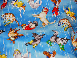 "Rain dogs"