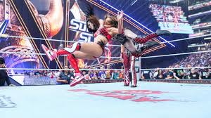 Paige Drops NSFW Response to Nikki, Brie Bella's Heel Turn After WWE SummerSlam