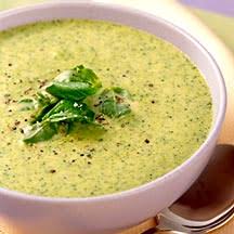 cream of broccoli soup