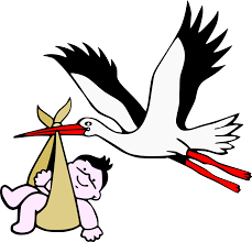 Image result for stork gif