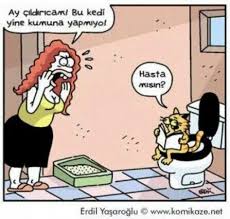 Erdil Yaşaroğlu ile ilgili görsel sonucu