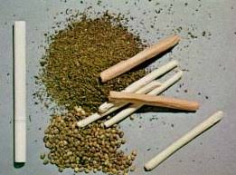 نتيجة بحث الصور عن صور ادمان المخدرات